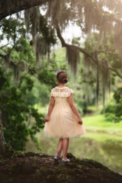 GIOVANNA DRESS BUTTERSCOTCH -Clothing Promotion Store 71 3 66b2b897 f3e8 47f7 afd0 1435e90b1784