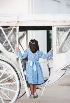 EMMA SEQUIN DRESS BLUE -Clothing Promotion Store EMMABLUE4