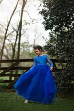 MARIPOSA GOWN ROYAL BLUE -Clothing Promotion Store MARIPOSAROYAL3