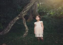 OLIVIA DRESS BUTTERSCOTCH -Clothing Promotion Store TS12fb