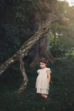 OLIVIA DRESS BUTTERSCOTCH -Clothing Promotion Store TS13fb