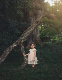 OLIVIA DRESS BUTTERSCOTCH -Clothing Promotion Store TS15fb