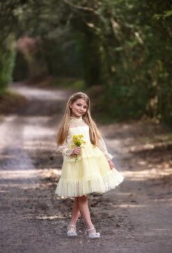 SILVER REGAL PRINCESS SHOE -Clothing Promotion Store TSC13fbcopy6