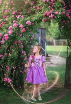 FLASH SALE DUCHESS PRINCESS MINI DRESS -Clothing Promotion Store TSC14fb 1