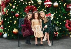 EMMA SEQUIN DRESS GOLD -Clothing Promotion Store TSC14fb 1 a28e75a7 dfa0 4b35 b8c2 ee690cc70525