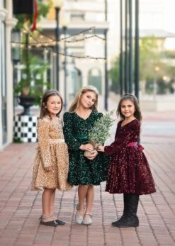 EMMA SEQUIN DRESS GOLD -Clothing Promotion Store TSC15fb 3