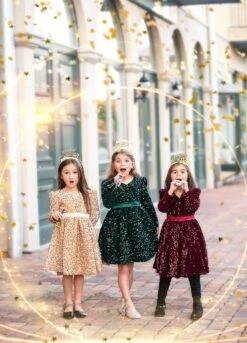 EMMA SEQUIN DRESS GOLD -Clothing Promotion Store TSC16fb 2