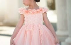 BELLE GOWN PEACHY PINK 9 BELLE GOWN PEACHY PINK -Clothing Promotion Store TSC17fb 5 copy4