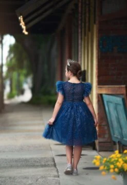 MILLY DRESS SPARKLE NAVY -Clothing Promotion Store TSC23fb 5 copy