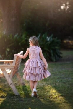 JOELLE DRESS ROSE 10 JOELLE DRESS ROSE -Clothing Promotion Store TSC34fbcopy3