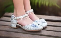 SILVER REGAL PRINCESS SHOE -Clothing Promotion Store TSC36fb 1