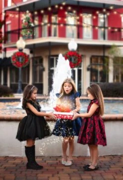 EVANGELINE DRESS CRIMSON JACQUARD -Clothing Promotion Store TSC3fb 063a3827 34c6 45f9 b210 7a1e361c977c