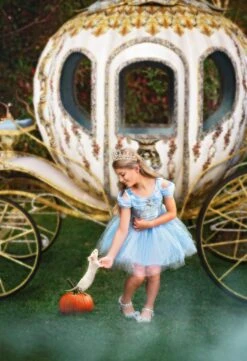 PRINCESS EMILIE TIARA -Clothing Promotion Store TSC40fb 1