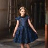 EVANGELINE DRESS NAVY JACQUARD -Clothing Promotion Store TSC42fb 1