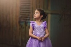 BIANCA DRESS LAVENDER -Clothing Promotion Store TSC65fb