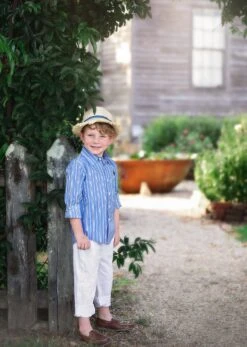 ARCHIE BUTTON DOWN -Clothing Promotion Store TSC8fb