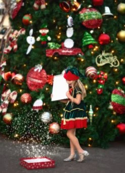 JANIE THE ELF DRESS & HAT SET -Clothing Promotion Store TSC9fb 1 3b1c27ce 30bf 4f2d 8411 9a554885bc3c