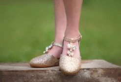 PRINCESS SHOE GOLD -Clothing Promotion Store TSC9fb 2 copy2 2821ba75 b84a 4055 b2ec eb1f11d965b3