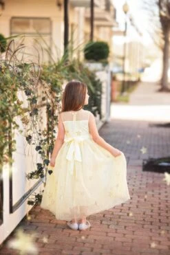 ANTOINETTE GOWN SUNSHINE -Clothing Promotion Store antoinsun3