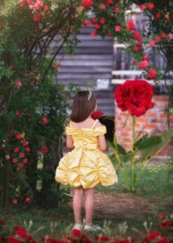 PRINCESS CHARLOTTE MINI DRESS & GLOVES SET -Clothing Promotion Store charlottemini3