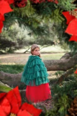 THE CHRISTMAS CAPE -Clothing Promotion Store christmascape5