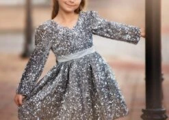 EMMA SEQUIN DRESS SILVER -Clothing Promotion Store emmasilv1