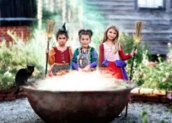 THE SPOTLIGHT SISTER -Clothing Promotion Store witchgroup3